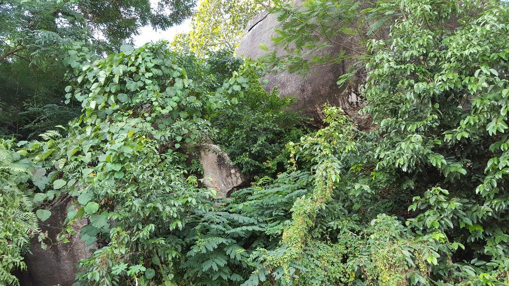 Kayola - Self Catering Appartamento
